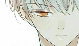 男男攻受漫画,男男攻受漫画中的爱欲火花